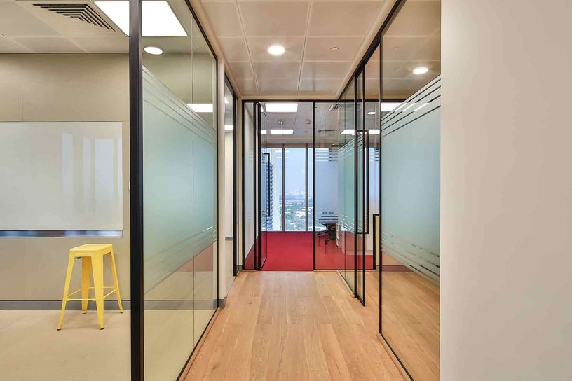 Turtle Management Gallery 004