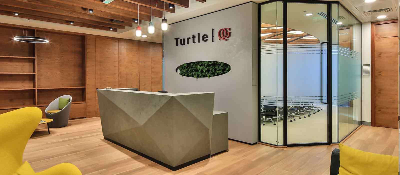 Turtle Management Spotlight image 1600x700