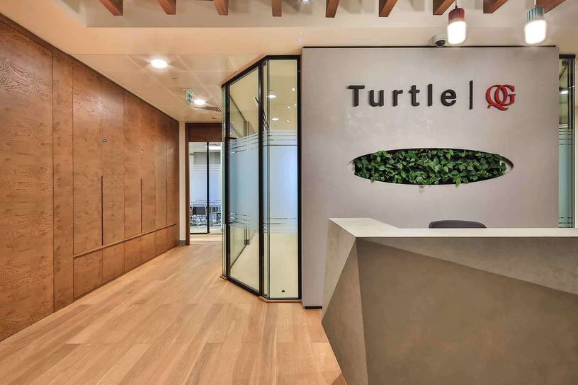 Turtle Management Gallery 003