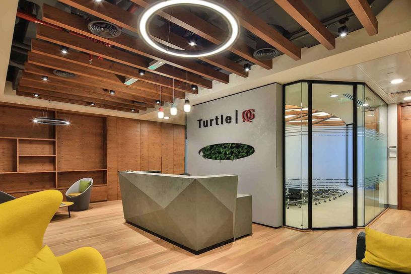 Turtle Management Gallery 001