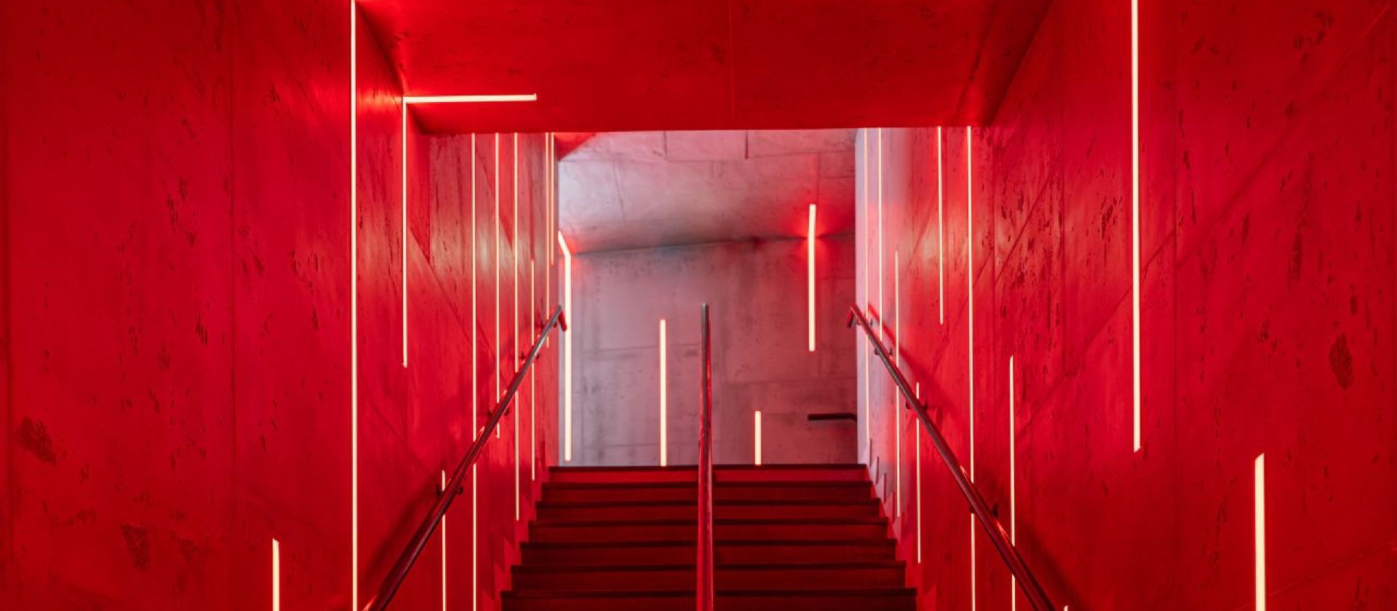 Rex Nightclub entreprises françaises de décoration dintérieur pour locaux commerciaux