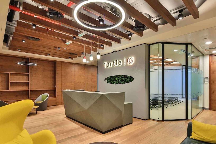 Turtle Management Gallery 002