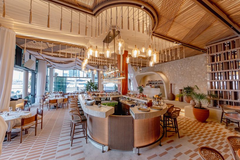 Son of a fish abu dhabi commercial interior fit out companies